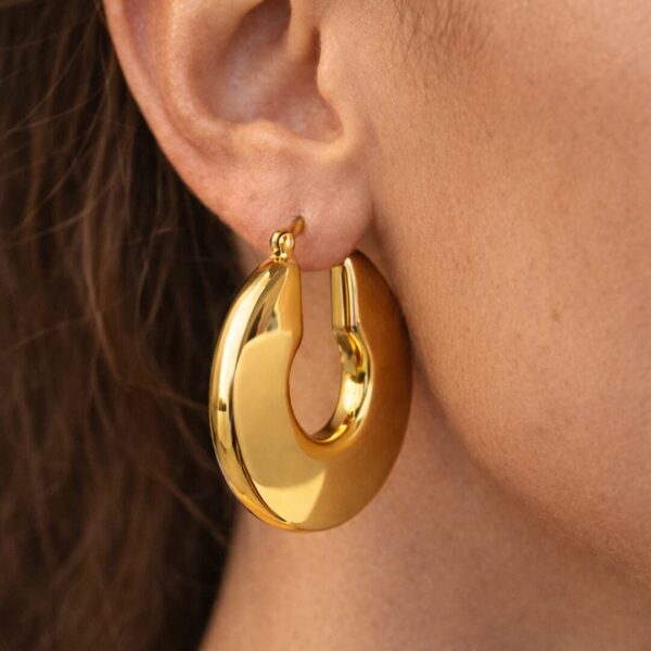 Arracada Aro Geometrico